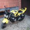 lukaszekk125